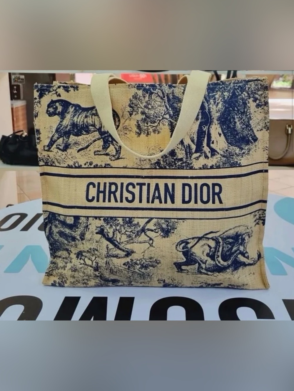 Dior Woven Canvas Tote